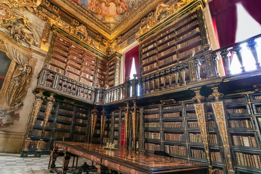 From Porto: Private Transfer to Lisbon with Coimbra & Fatima - Practical tips to make your day run smoothly
