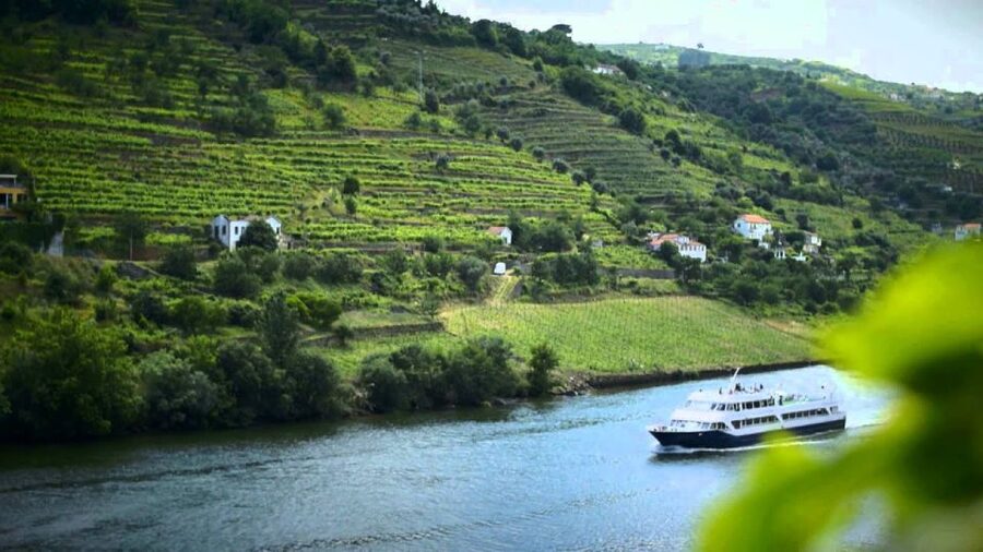 From Porto: Régua to Porto River Cruise with Lunch on Board - Guide and Service Notes You Should Know