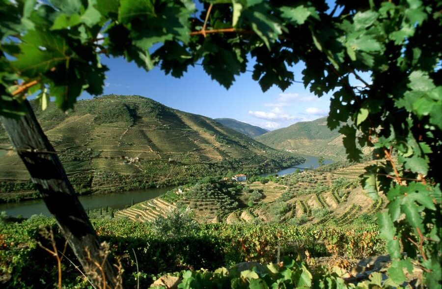 From Porto: Régua to Porto River Cruise with Lunch on Board - Porto To Régua By Bus, A Scenic Start With a Real Purpose