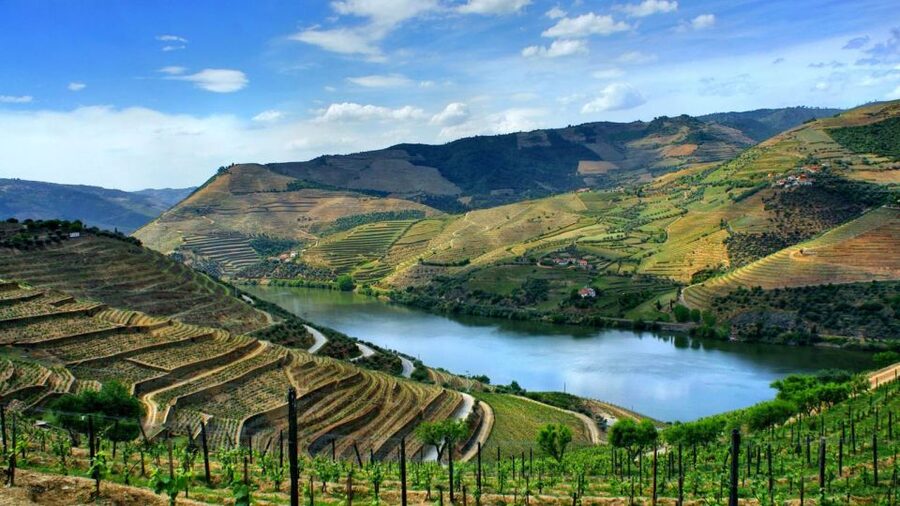 From Porto: Régua to Porto River Cruise with Lunch on Board - The Boat Ride and Lunch Onboard: Comfortable Pace, Real Value