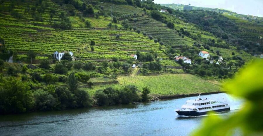 From Porto: Régua to Porto River Cruise with Lunch on Board - Passing Carrapatelo Dam and Crestuma-Lever: Why These Crossings Feel Different