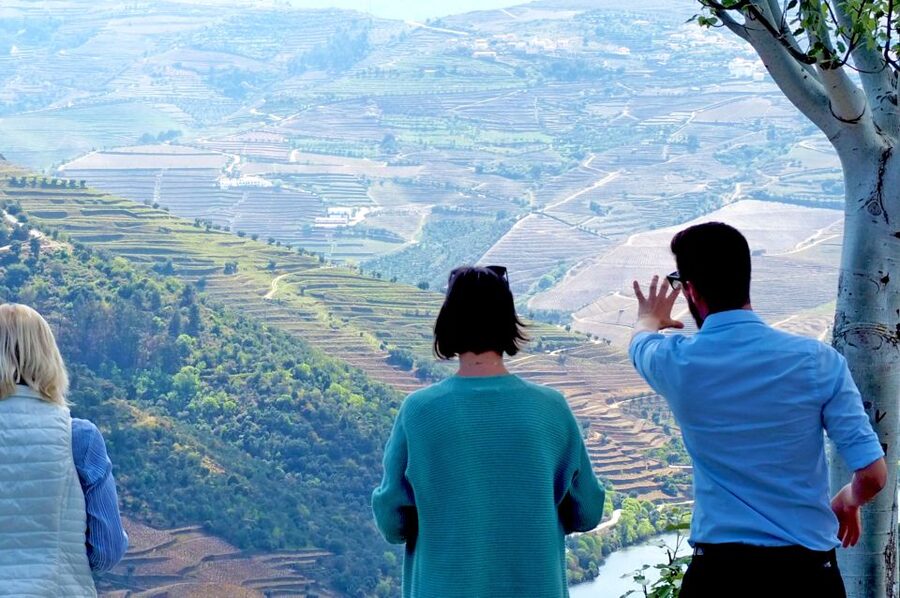 From Porto: Small-Group Douro Valley Wine Tour Lunch & Boat - Key Things I’d Plan My Day Around