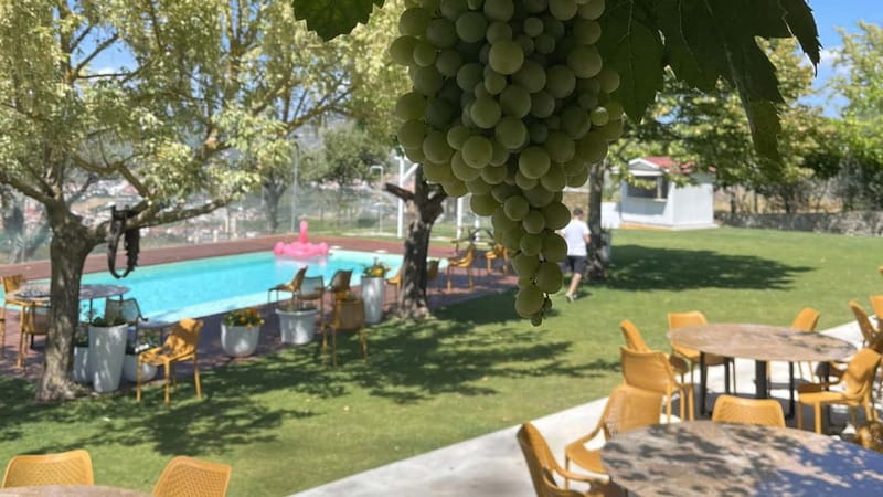 From Porto: Tastings at 2 Wineries, Chef's Lunch & Boat Tour - The second winery and lunch at the family estate