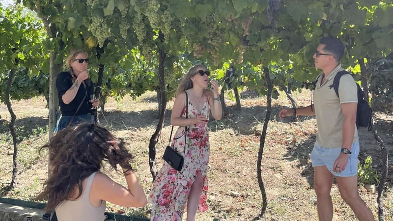 From Porto: Tastings at 2 Wineries, Chef's Lunch & Boat Tour - What to bring and how to prepare for the long day