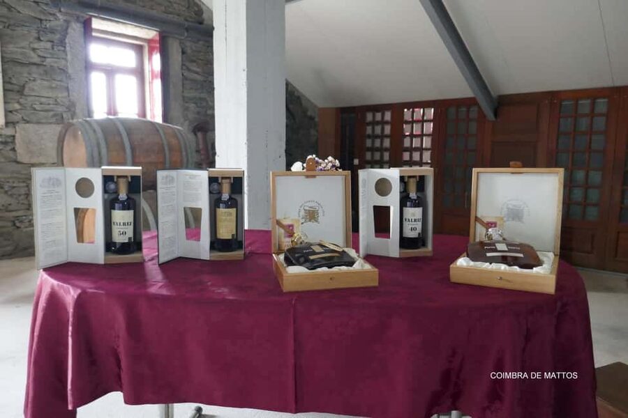 From Porto: Wine Tasting with Lunch at a Quinta, Cruise, and Train Ride - Key Things I’d Plan Around