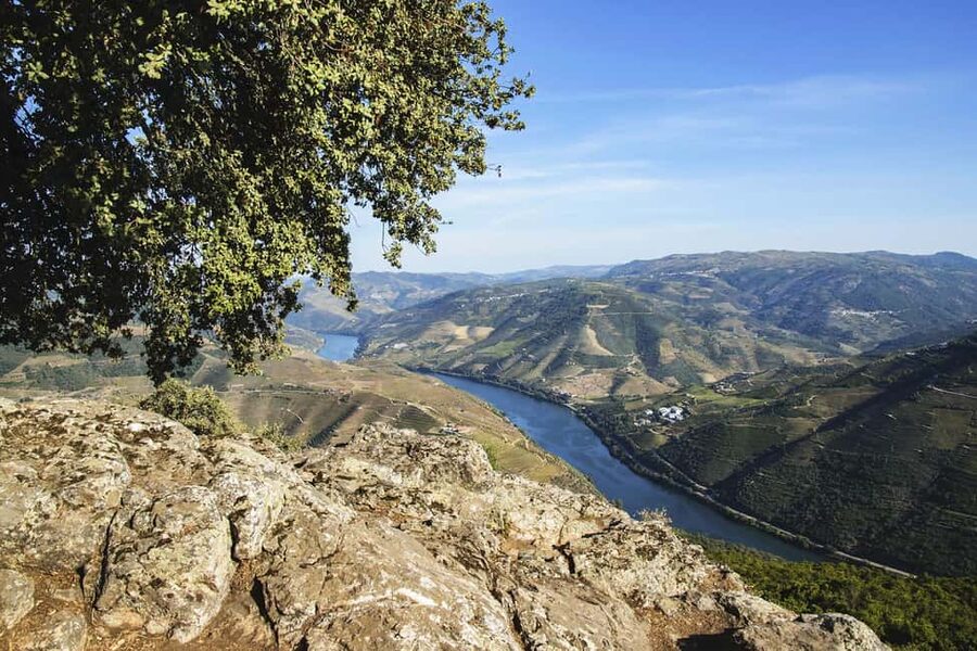 From Porto: Wine Tasting with Lunch at a Quinta, Cruise, and Train Ride - Transportation, Guides, and Group Energy: How the Day Actually Feels