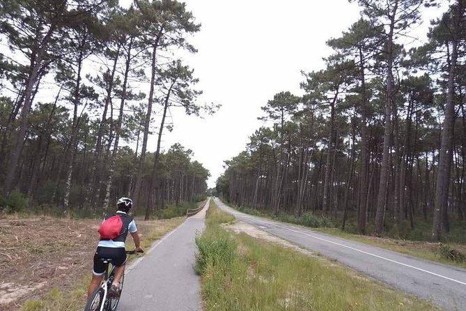 From Porto with view to Gaia: Private Bike Tour #DuckSideOfPorto - Crossing into Gaia: the sister city shift you can actually feel