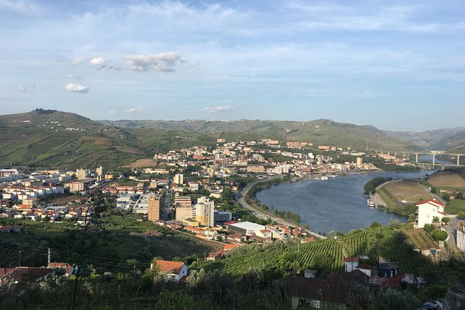 Full Day, Wine Tasting, River Cruise and Lunch from Porto - Wine tasting and pacing: what to expect on the palate