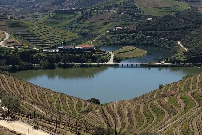 Full Day, Wine Tasting, River Cruise and Lunch from Porto - The guides and drivers that make or break the experience