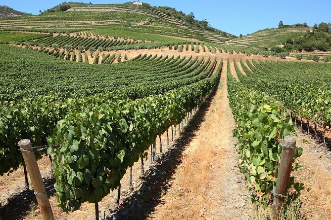 Genuine Douro Valley Tour: Visit 2 Wineries, Lunch & River Cruise - Pinhão and the blue-and-white railway tiles, plus lunch that feels local