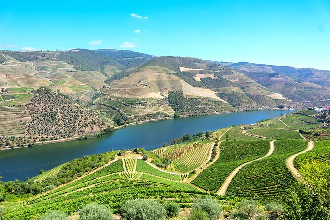 Genuine Douro Valley Tour: Visit 2 Wineries, Lunch & River Cruise - Quinta do Tedo: guided wine-making and tastings with river views