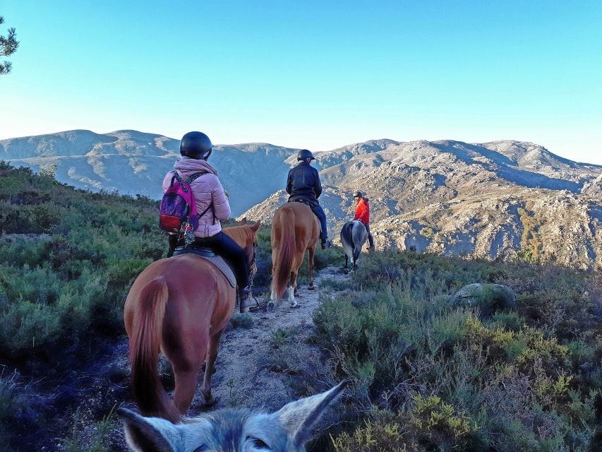 Gerês Braga: Horseback Ride in Peneda Gerês National Park - Why Riding Through Peneda-Gerês Makes Sense