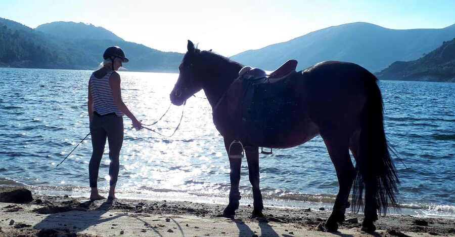 Gerês Braga: Horseback Ride in Peneda Gerês National Park - What It Means That the Horses Are Gentle and Well Cared For