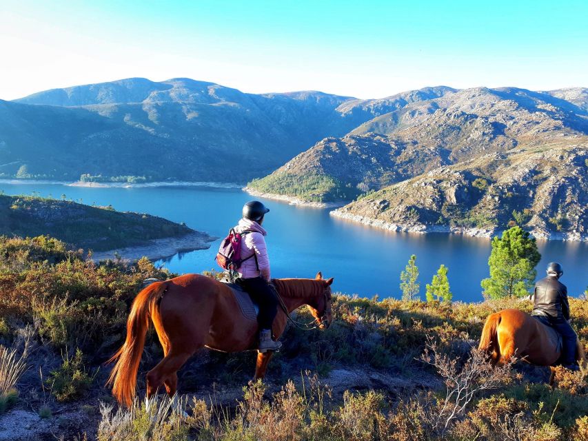 Gerês Braga: Horseback Ride in Peneda Gerês National Park - Who This Ride Is Best For (and Who Should Skip It)