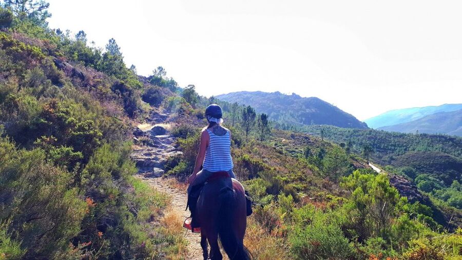 Gerês Braga: Horseback Ride in Peneda Gerês National Park - Should You Book Gerês EquiDesafios in Peneda-Gerês?