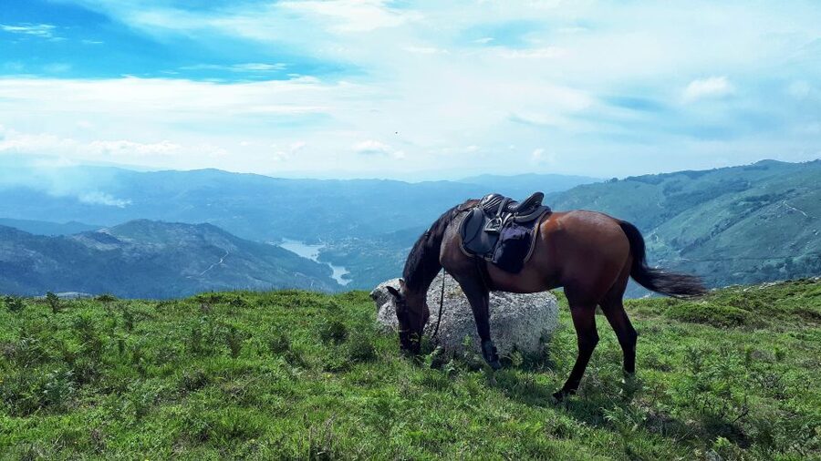 Gerês Braga: Horseback Ride in Peneda Gerês National Park - The 2-Hour Route: Mountains, Campo de Gerês, and Vilarinho da Furna