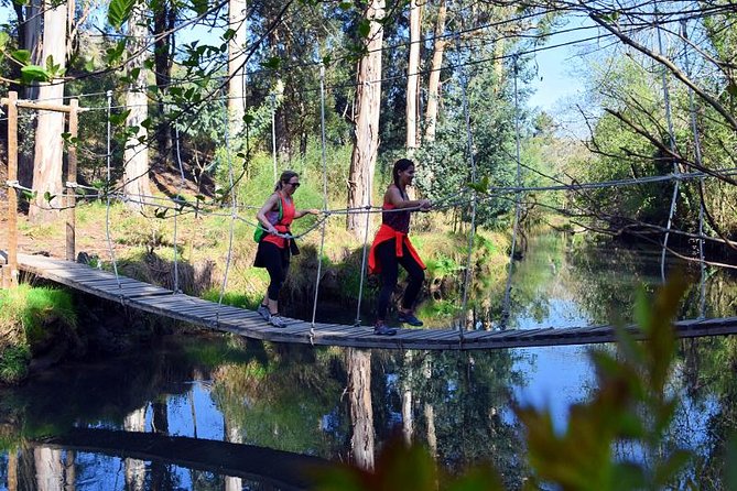 Half-day Hike & Picnic with Dog Love in Porto's Mountains - A Half-Day That Swaps Crowds for Porto Hills
