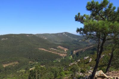 Half-day Hike & Picnic with Dog Love in Porto’s Mountains
