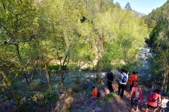 Half-day Hike & Picnic with Dog Love in Porto's Mountains - The Guide Touch: Ricardo, Conversation Breaks, and Insider Tips