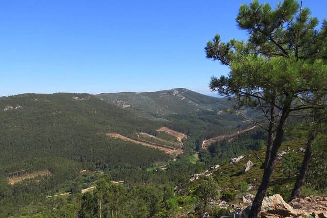 Half-day Hike & Picnic with Dog Love in Porto's Mountains - Starting at São Bento Station, Then Headed for the Hills