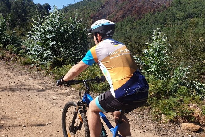 Half day Mountain Bike Tour in Porto - 8:00 am Pickup and the 20-Minute Van Transfer to Valongo