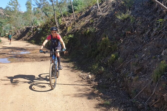 Half day Mountain Bike Tour in Porto - Hard Surfaces, Single Tracks, and the Optional Top View Over Porto