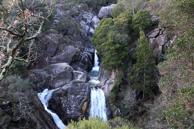 Hidden Gems of Peneda-Gerês National Park on a Full-Day Tour - Pedro and the max-8 group vibe