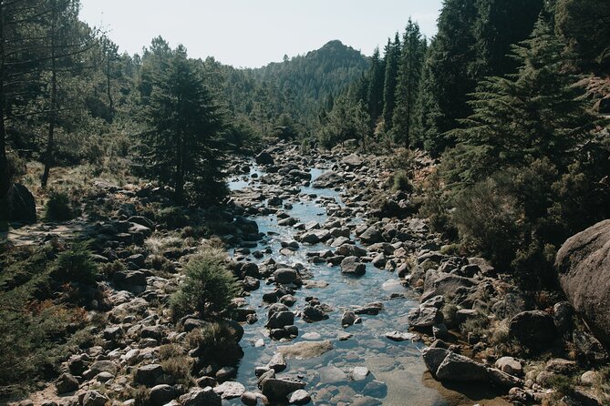 Hidden Gems of Peneda-Gerês National Park on a Full-Day Tour - What to expect on the day: pace, breaks, and route changes
