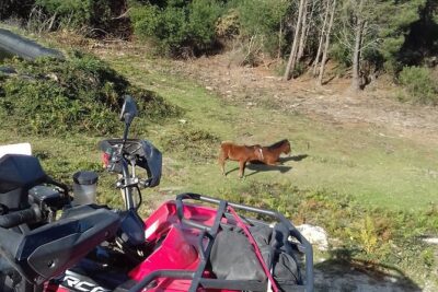 hike quad mountain altitude 825m / hike atv mountain altitude 825m