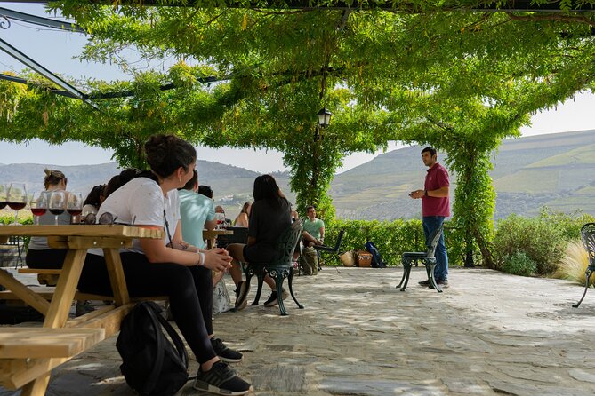 HIKING in the Douro Valley - Who should book this Douro Valley hike, and who should think twice
