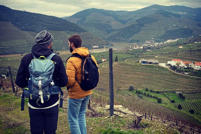 HIKING in the Douro Valley - The wine-culture break, picnic questions, and the quinta effect
