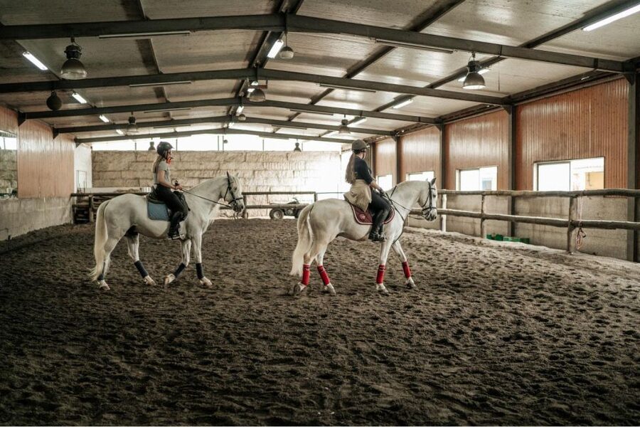 Horseback Riding Tour - Meeting at the Gray Gate and Getting Your Horse-Sense Fast