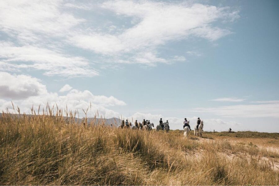 Horseback Riding Tour - Should You Book This Horseback Riding Tour?