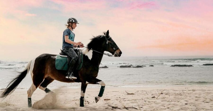 Horseback Riding Tour - Beaches Near Viana do Castelo: When the Sand Plan Changes