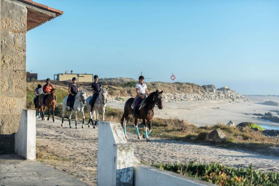 Horseback Riding Tour - The Real Value of $127: What’s Included, What’s Not