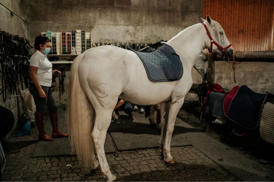Horseback Riding Tour - What to Bring (and What Can Get You Turned Away)