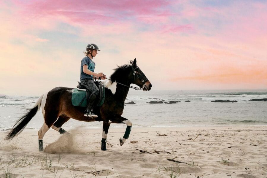 Horseback Riding Tour - Languages and Group Dynamics That Keep You Comfortable