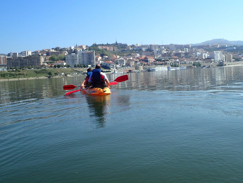 Kayak - Douro Valley - Key things to know before you go