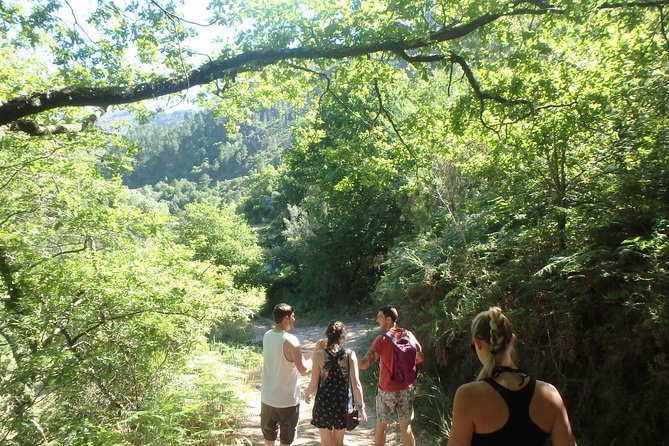 Kayaking and Waterfall in Peneda-Gerês National Park from Porto - Lunch in a local restaurant, with wine and dessert