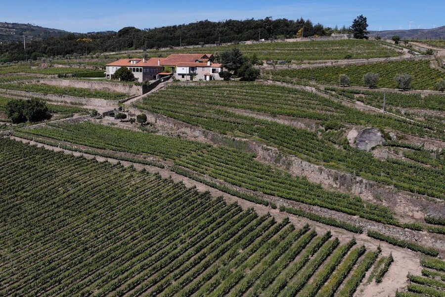 Lamego: Quinta da Portela de Baixo Winery Tour and Tasting - Douro Views From the Estate: How to Time This Stop
