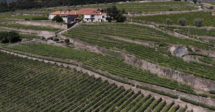 Lamego: Quinta da Portela de Baixo Winery Tour and Tasting - Price and Value for a $35 Private Tasting