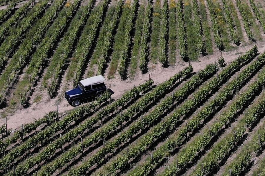 Lamego: Quinta da Portela de Baixo Winery Tour and Tasting - Meeting at Casa Visconde de Arneirós and What the Private Group Means