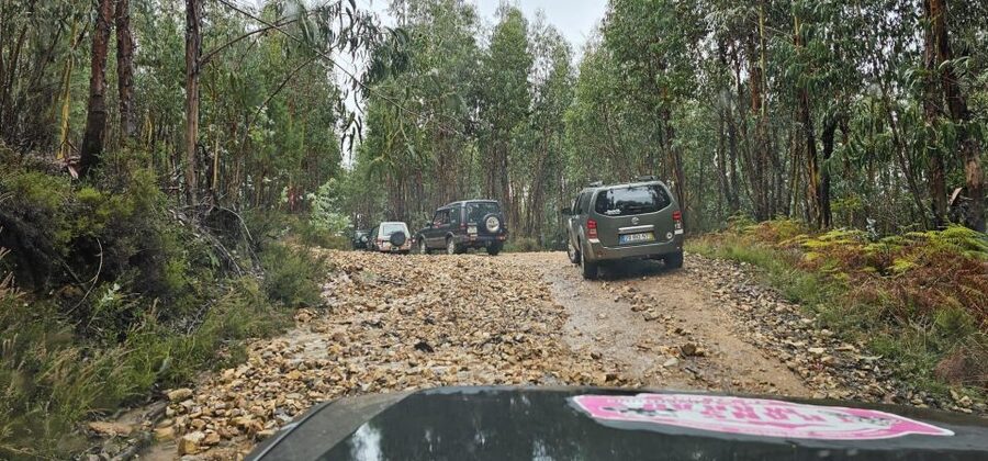 Living 4x4 Oporto Montains - Price and Value: Why $76 Can Make Sense Here