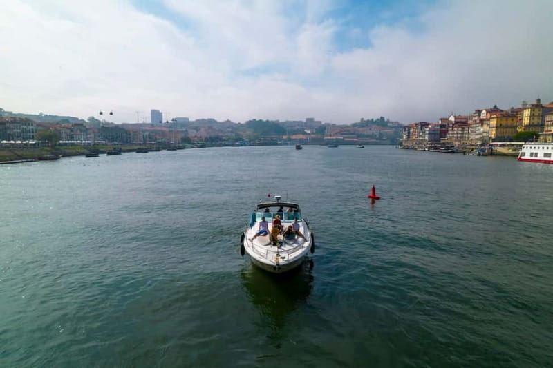 Luxury Douro Yacht Tour: Scenic Views & Complimentary Drinks - The Bridges: What You’ll See Under Dom Luís I Through Freixo