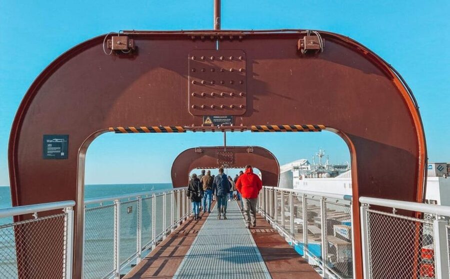 Matosinhos (Porto): “From the Sea to your Plate” Food Tour - Who This 3-Hour Food Tour Is Best For