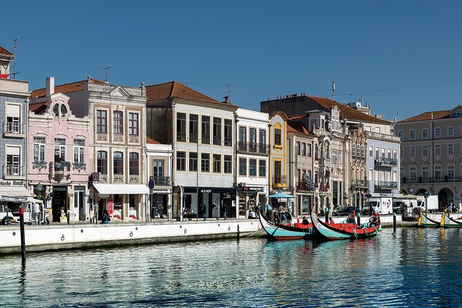 Moliceiro Boat Tour on the Ria de Aveiro - How a Moliceiro Boat Tour Turns Aveiro into a Moving View