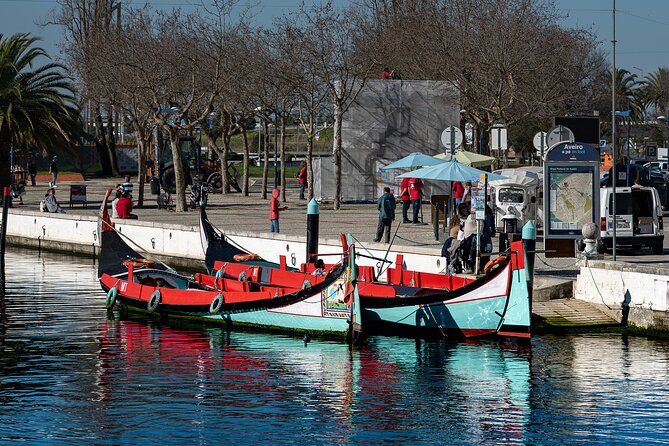 Moliceiro Boat Tour on the Ria de Aveiro - Who This Moliceiro Tour Best Suits