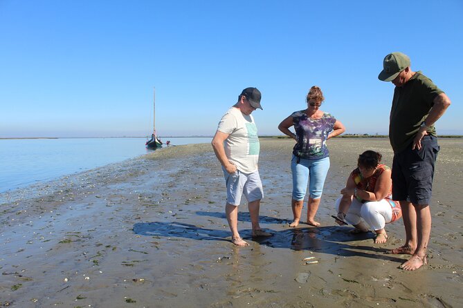 Moliceiro boat trip, with experience in bivalves harvesting - Moliceiro Boat Life on the Ria de Aveiro