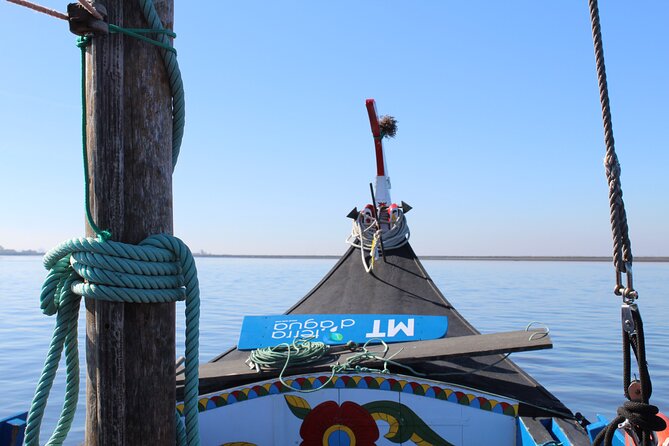 Moliceiro boat trip, with experience in bivalves harvesting - The Bivalves Harvesting Experience: Hands-On Learning (and a Bit of Mud)