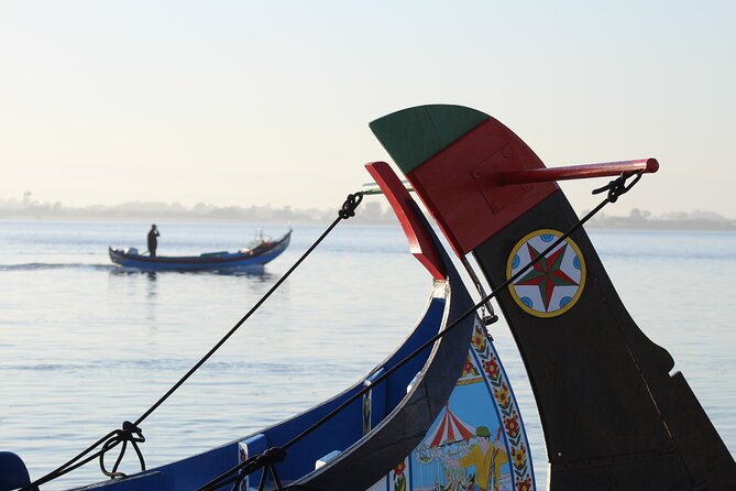 Moliceiro boat trip, with experience in bivalves harvesting - Duration, Group Size, and When the Trip Fits Best